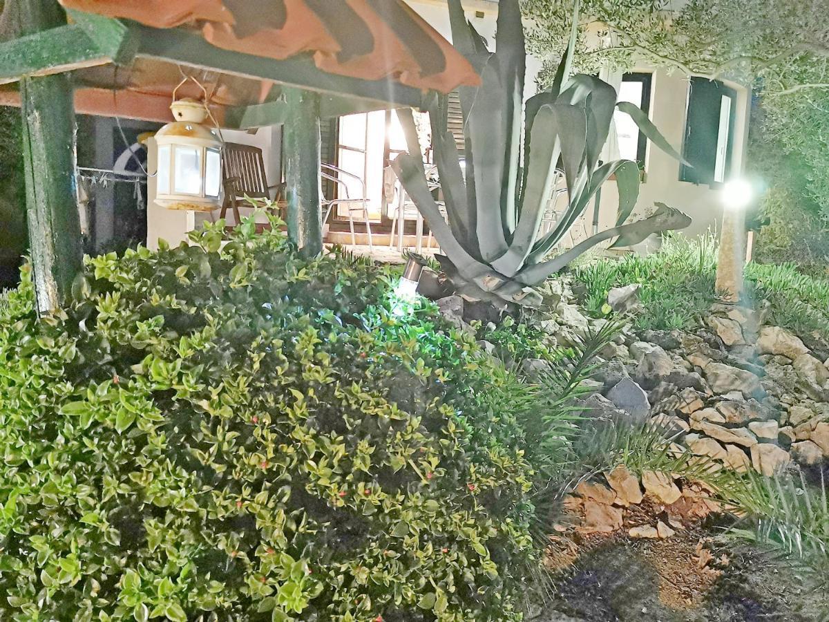 Apartmani Antonela&Andrej Privlaka  Esterno foto